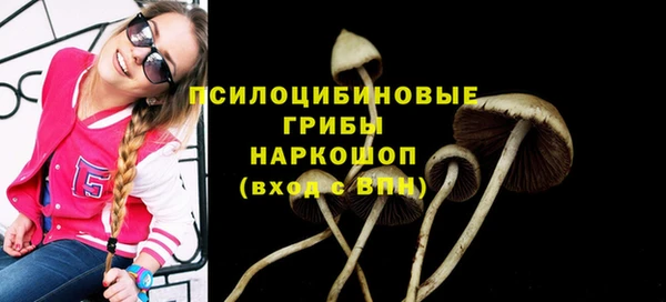 гидра Абаза