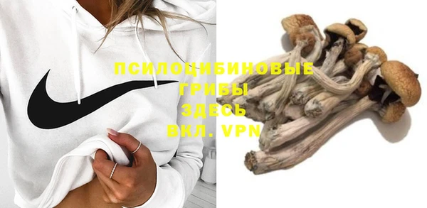 бошки Пересвет