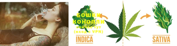 гидра Абаза
