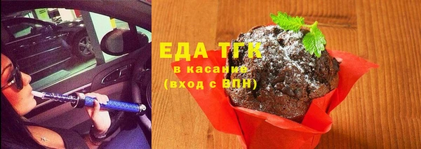 гидра Абаза