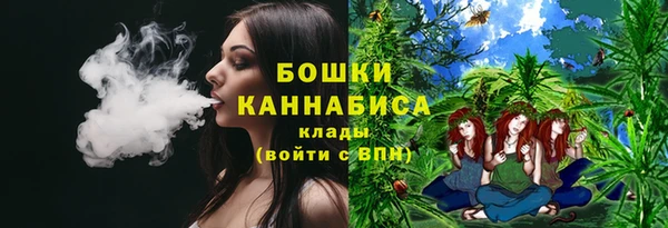 гидра Абаза
