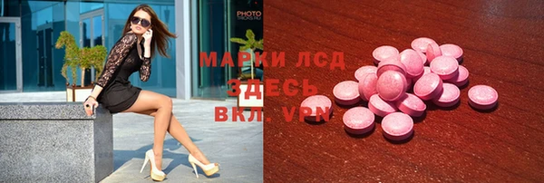 гидра Абаза